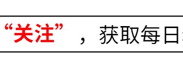 开云体育APP-参加两会的4位明星，个个口碑好，这才是文艺工作者该有的样子！