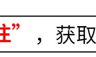 开云体育APP-参加两会的4位明星，个个口碑好，这才是文艺工作者该有的样子！